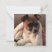 ギフト挿空白の入カード ノートカード (正面)