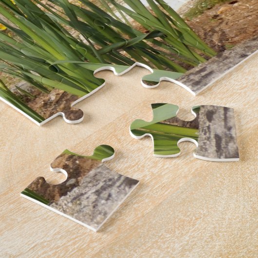 ギフト用の箱が付いているイースター写真のパズルのラッパスイセン ジグソーパズル (側面)