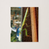 ギフト用の箱が付いているカマキリの写真のパズルを祈ること ジグソーパズル (縦)