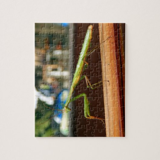 ギフト用の箱が付いているカマキリの写真のパズルを祈ること ジグソーパズル (縦)