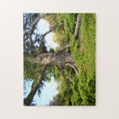 ギフト用の箱が付いているヒマラヤスギのレバノンの木の写真のパズル ジグソーパズル (縦)