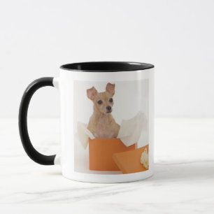 ギフト用の箱に坐っている小さい犬 マグカップ