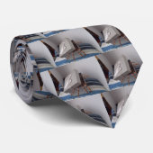 ギフト用の箱のくも ネクタイ (ロール)