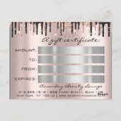 ギフト証明書の休日美しいバラシルバーラッシュ ポストカード (裏面)