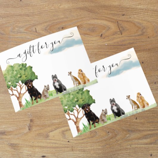 ギフト証明書犬トレーニングペット座り歩く