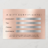 ギフト証明書赤面シルバーラッシュ美しいスタジオ (裏面)