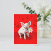 ギフト ポストカード (スタンド正面)