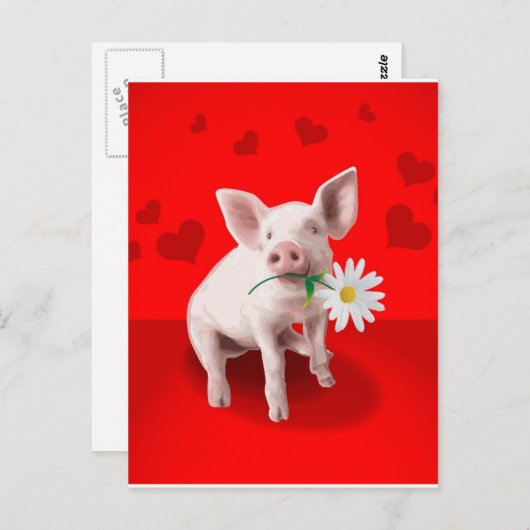 ギフト ポストカード (正面/裏面)