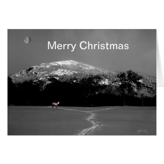 ギブスムーンクリスマスカードの下のスピリットポニー (正面横)