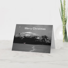 ギブスムーンクリスマスカードの下のスピリットポニー シーズンカード