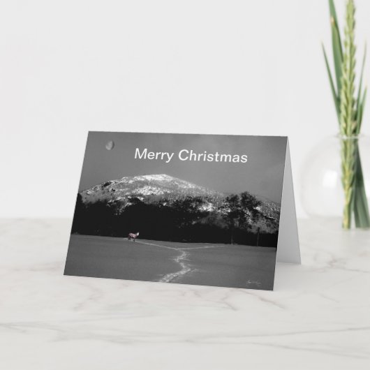 ギブスムーンクリスマスカードの下のスピリットポニー シーズンカード (正面)