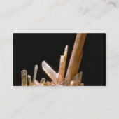 ギプス 名刺 (裏面)