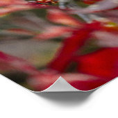 ギボンの孤独 ポスター (角)