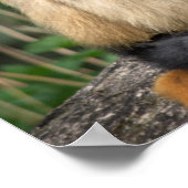 ギボンズ ポスター (角)