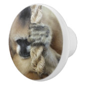 ギボンモンキー セラミックノブ (右)