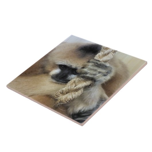 ギボンモンキー タイル (側面)