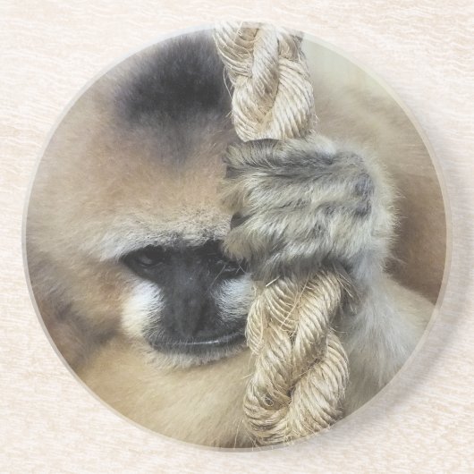 ギボン コースター (正面)