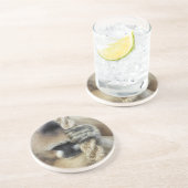 ギボン コースター (側面)