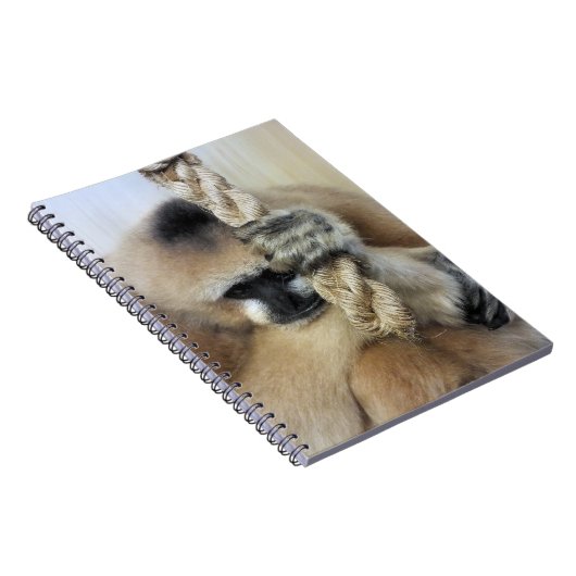 ギボン ノートブック (右側)