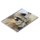 ギボン ノートブック (左側)