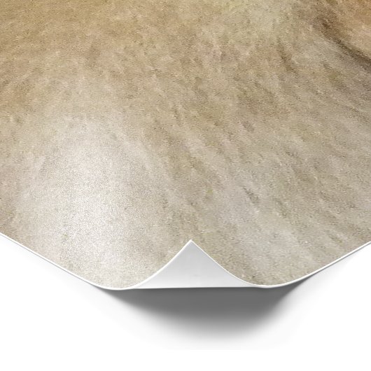 ギボン フォトプリント            (角)