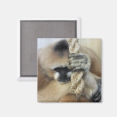 ギボン マグネット (正面/裏面)