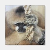 ギボン マグネット (正面)