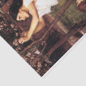 ギャザリングアーモンドフラワーズバイJ Wウォーターハウス 薄葉紙 (詳細)