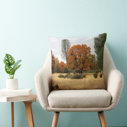 ギャザリング….. クッション (椅子)