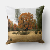 ギャザリング….. クッション (裏面)