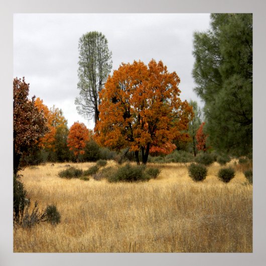 ギャザリング… ポスター (正面)