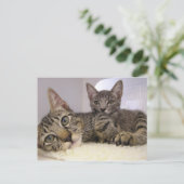 ギャベン&グローバー ポストカード (スタンド正面)