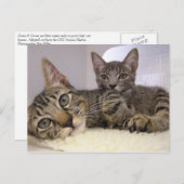 ギャベン&グローバー ポストカード (正面/裏面)