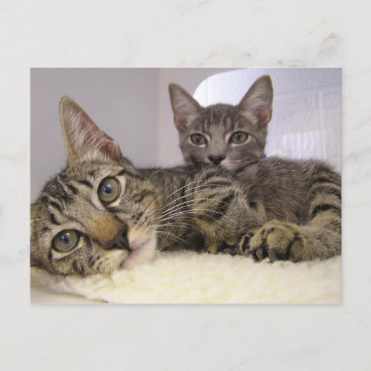 ギャベン&グローバー ポストカード (正面)