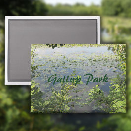 ギャラップ・パークインアンアーバー マグネット