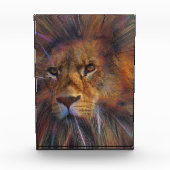 ギャラリーフォトブロック内のライオン フォトブロック (正面)