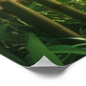 ギャラリーラップマイパラダイス ポスター (角)