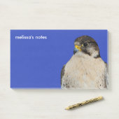 ギャルファルコンサーカーハイブリッド《鳥》ハヤブサ ポストイット (デスク)