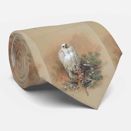 ギャルファルコン – 1861 ネクタイ (ロール)