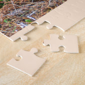 ギャロウェーのベルトを付けられた牛 ジグソーパズル (側面)