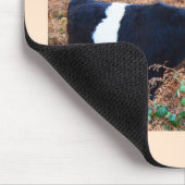 ギャロウェーのベルトを付けられた牛 マウスパッド (コーナー)