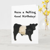 ギャロウェーベルト付けのよい誕生日によってベルトを付けられるBeltie牛 カード (黄色い花)