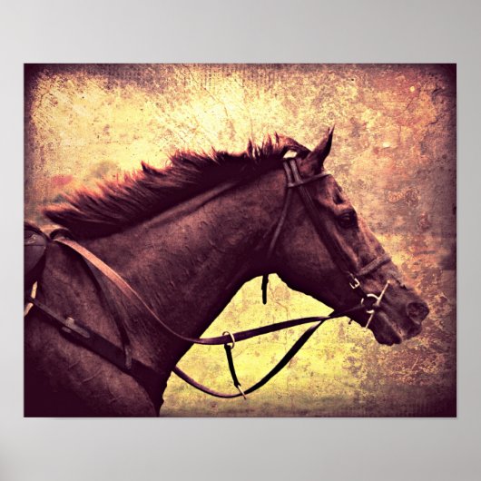 ギャロッグランジプ ポスター (正面)