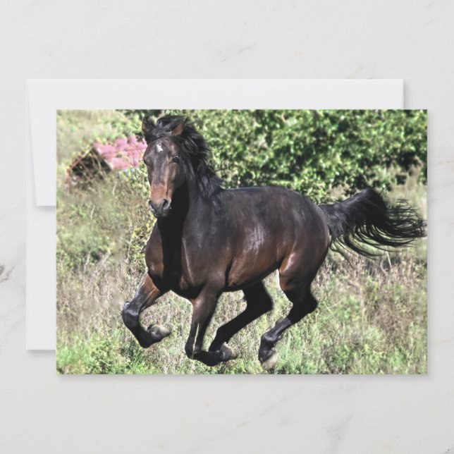 ギャロッピング栗の馬 (正面)