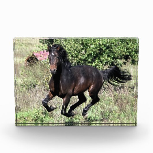 ギャロッピング栗の馬 フォトブロック (正面)