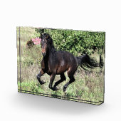 ギャロッピング栗の馬 フォトブロック (右)