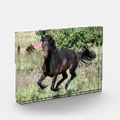 ギャロッピング栗の馬 フォトブロック (左)