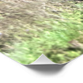 ギャロッピング栗の馬 ポスター (コーナー)