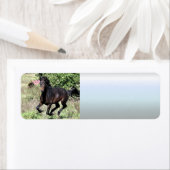 ギャロッピング栗の馬 ラベル (インサイチュ)