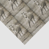 ギャロッ素朴ピング·アンダルシアン 薄葉紙 (詳細)